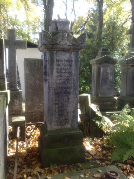 Zdjęcie grobu Kazimierz Krzywda-Rzewuski (1)