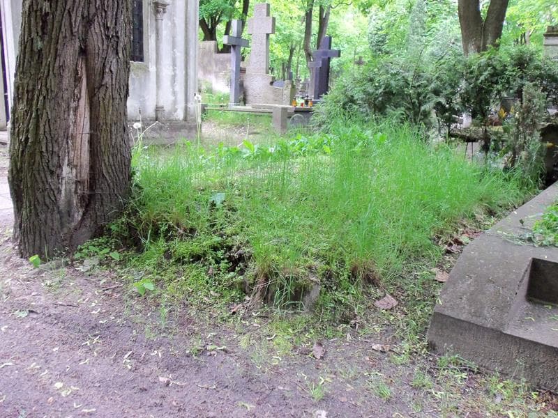 Zdjęcie grobu Anonim (1)