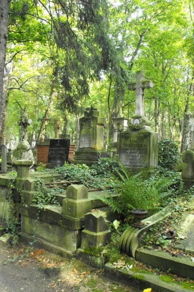 Zdjęcie grobu Szymon Trzciński (1)