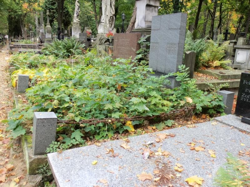 Zdjęcie grobu Anna Makomaska (1)