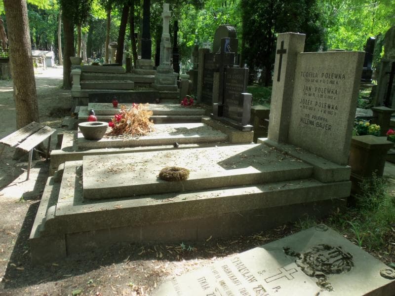 Zdjęcie grobu Józef Polewka (1)