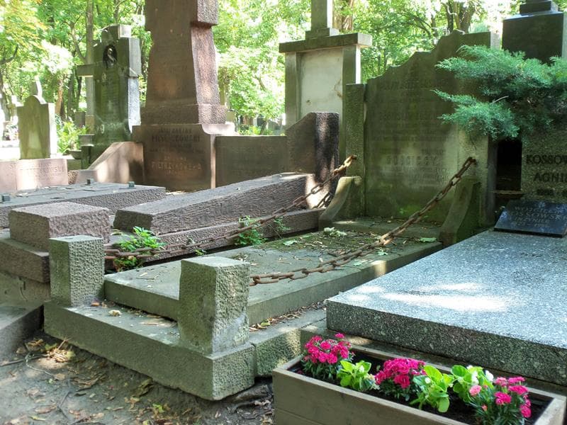 Zdjęcie grobu Wacław Józef Gościcki (1)