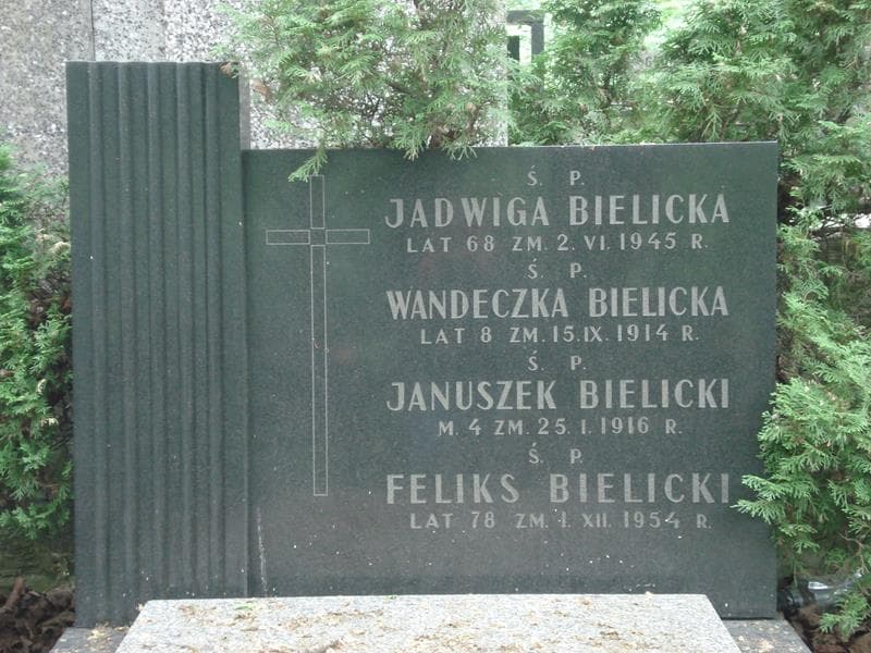 Zdjęcie grobu Januszek Bielicki (1)