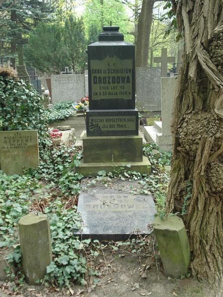 Zdjęcie grobu: Anna Drozdowa