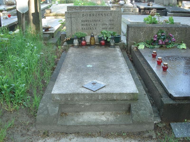 Zdjęcie grobu: Mikołaj Dobrzyński
