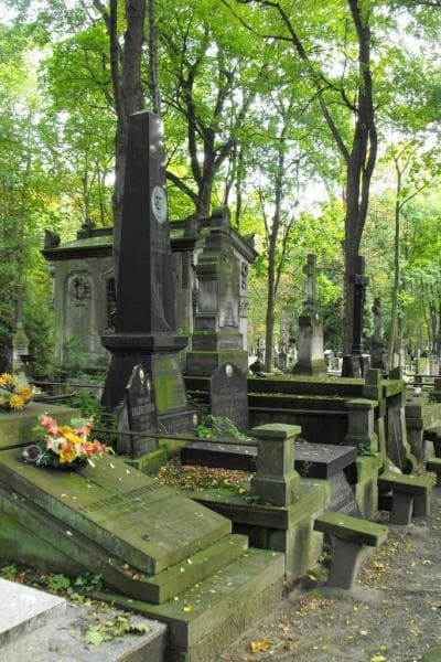 Zdjęcie grobu Ignacy Jan Gołembiewski (1)