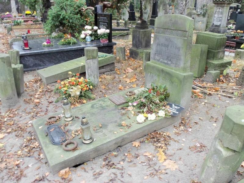 Zdjęcie grobu Zygmunt Ochorowicz (2)