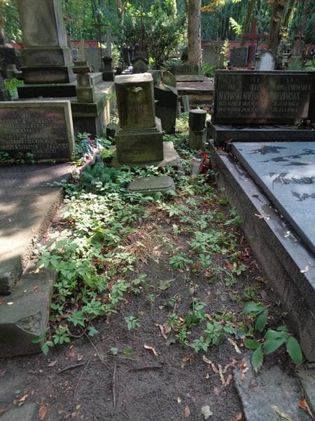 Zdjęcie grobu Janina Gąssowska (1)