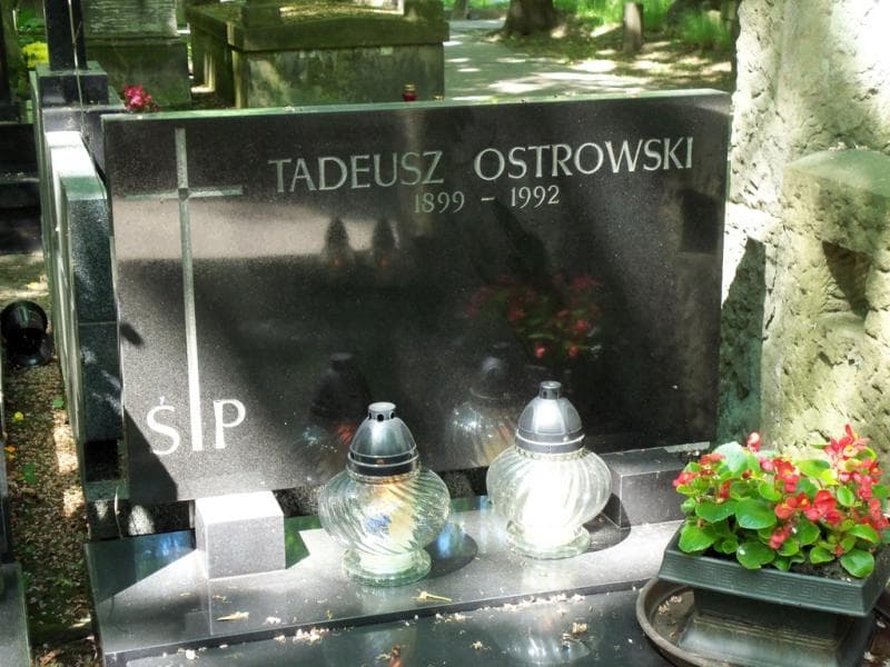 Zdjęcie grobu Mierzwiakowie (2)