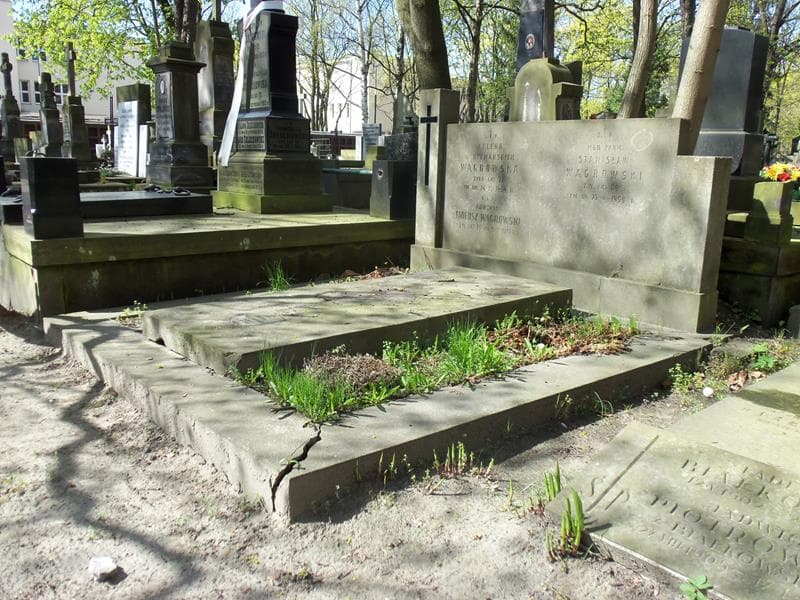 Zdjęcie grobu Stanisław Wągrowski (1)