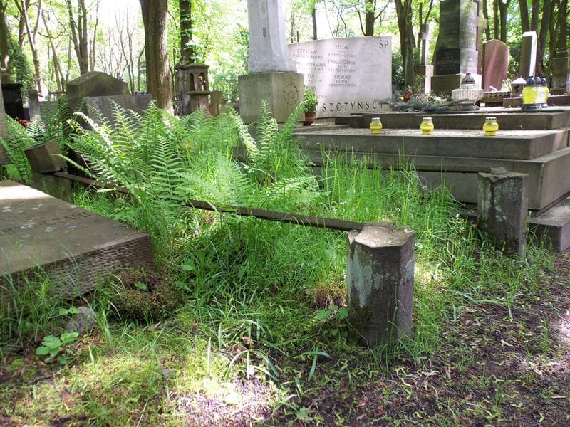 Zdjęcie grobu Antoni Puchniewski (1)