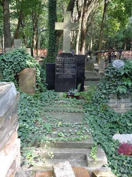 Zdjęcie grobu Bronisława Górska (1)