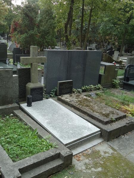 Zdjęcie grobu Leopold Kociszewski (1)