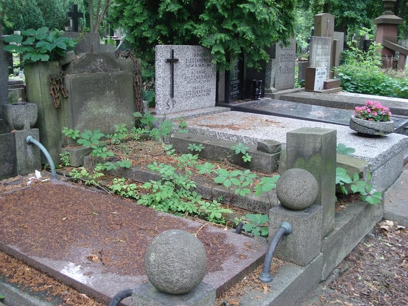 Zdjęcie grobu: Stanisław Pieńkowski