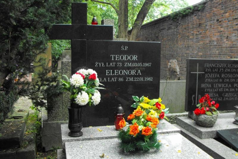Zdjęcie grobu Teodor Pawiński (2)