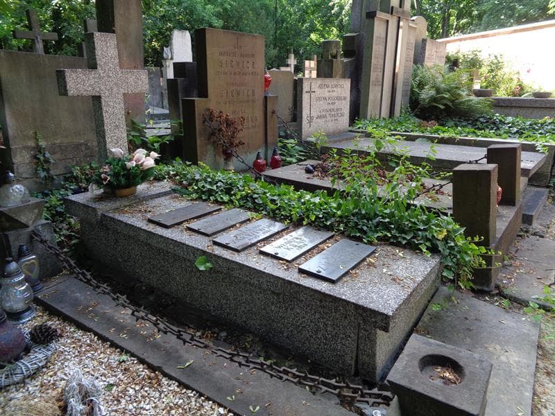 Zdjęcie grobu: Felicja Januszewska
