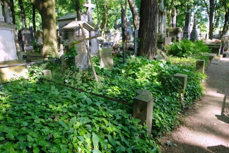 Zdjęcie grobu Wojciech Chęciewski (1)