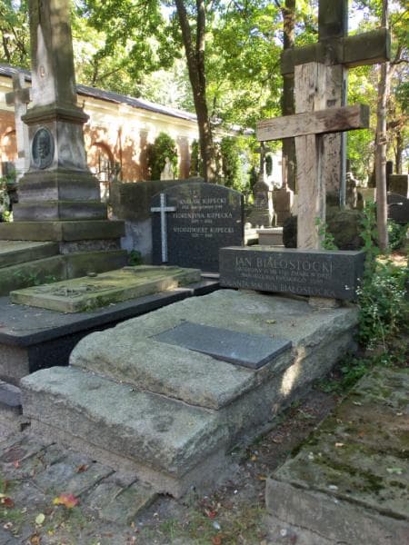 Zdjęcie grobu Jan Białostocki (1)