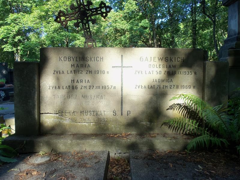 Zdjęcie grobu Maria Kobylińska (2)