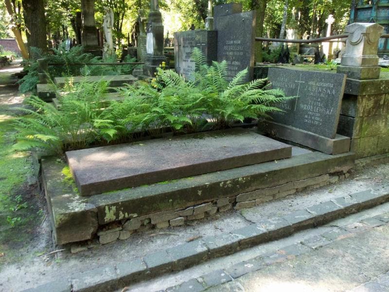 Zdjęcie grobu Anna Aleksandra Jasińska (1)