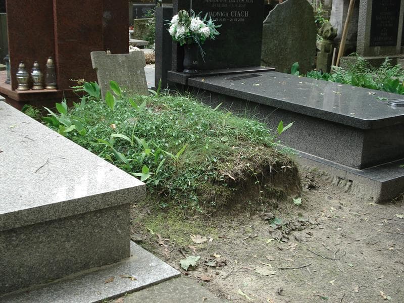 Zdjęcie grobu Bolesław Ptaszyński (1)