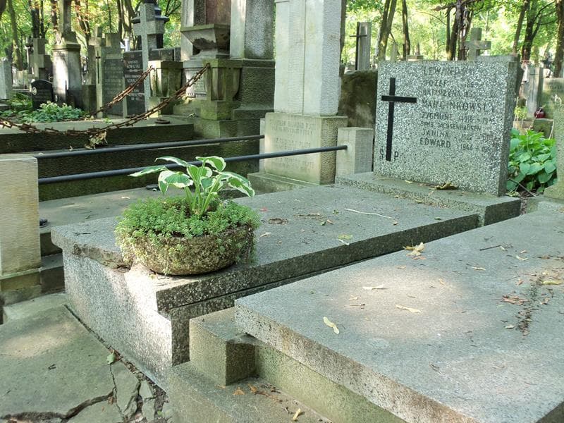 Zdjęcie grobu: Zygmunt Marcinkowski
