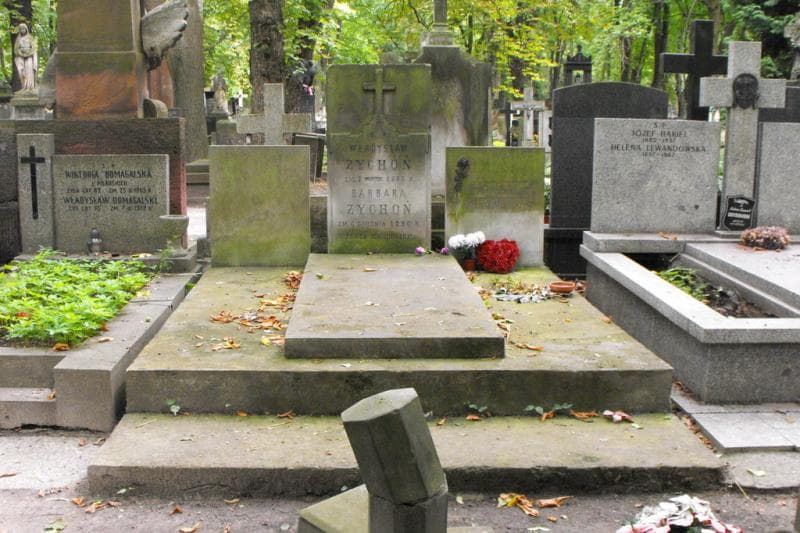 Zdjęcie grobu: Władysław Żychoń