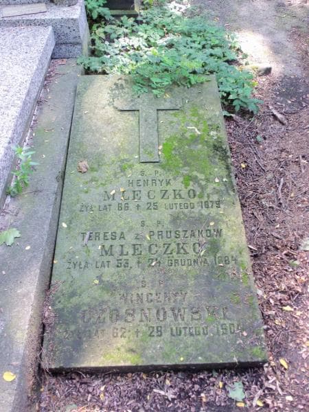 Zdjęcie grobu Wincenty Czosnowski (2)