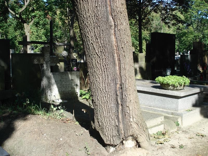 Zdjęcie grobu Stanisław Klimkiewicz (1)