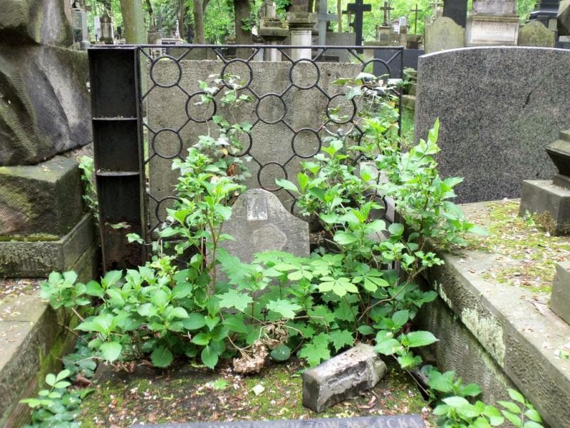 Zdjęcie grobu Teresa Jadwiga Okrasińska (2)