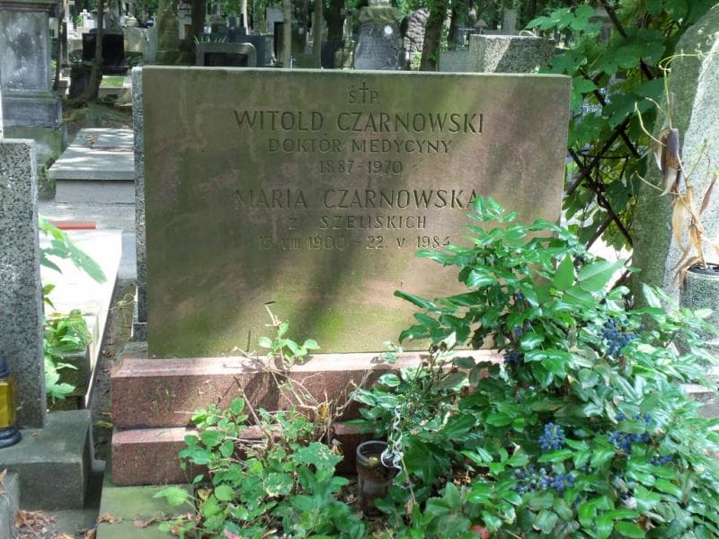 Zdjęcie grobu Witold Czarnowski (2)