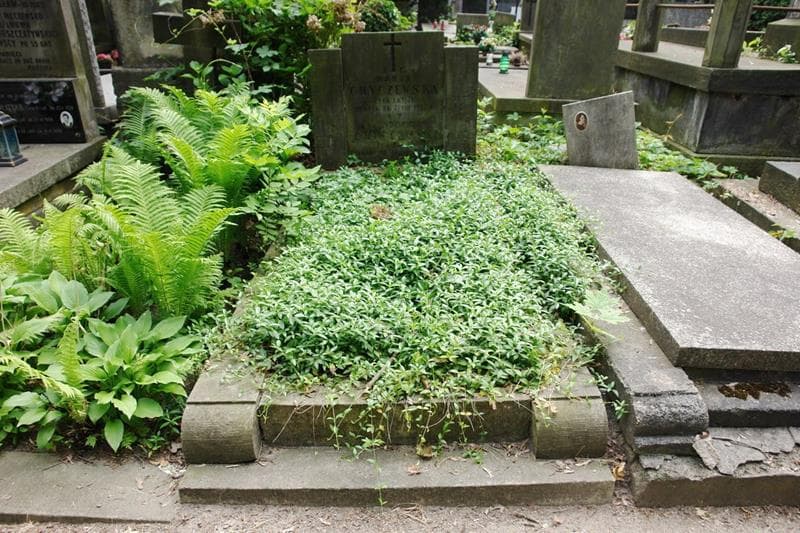 Zdjęcie grobu Aleksander Chyczewski (1)