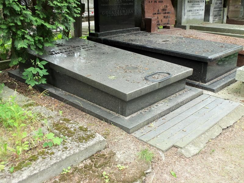 Zdjęcie grobu Zygmunt Cherczyński (1)