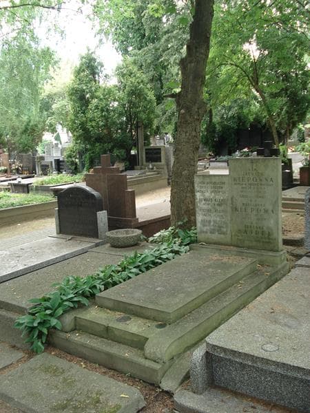 Zdjęcie grobu Stefan Klepa (1)