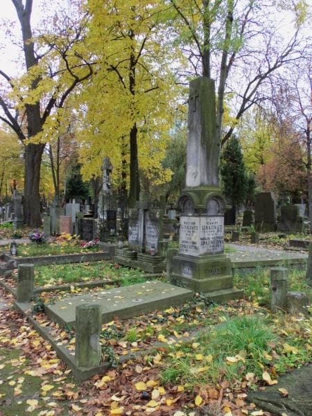 Zdjęcie grobu Magdalena Krzymuska (1)
