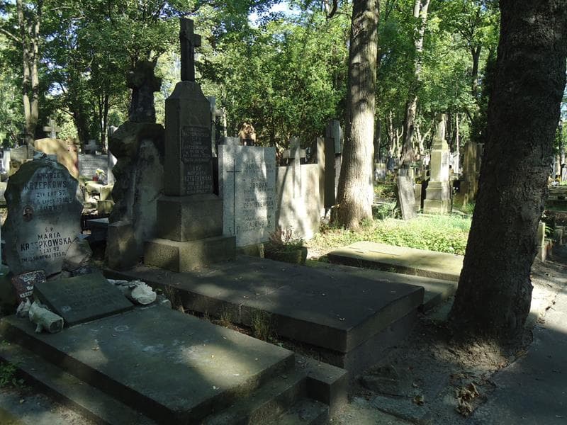 Zdjęcie grobu Ludwik Przyborowski (1)