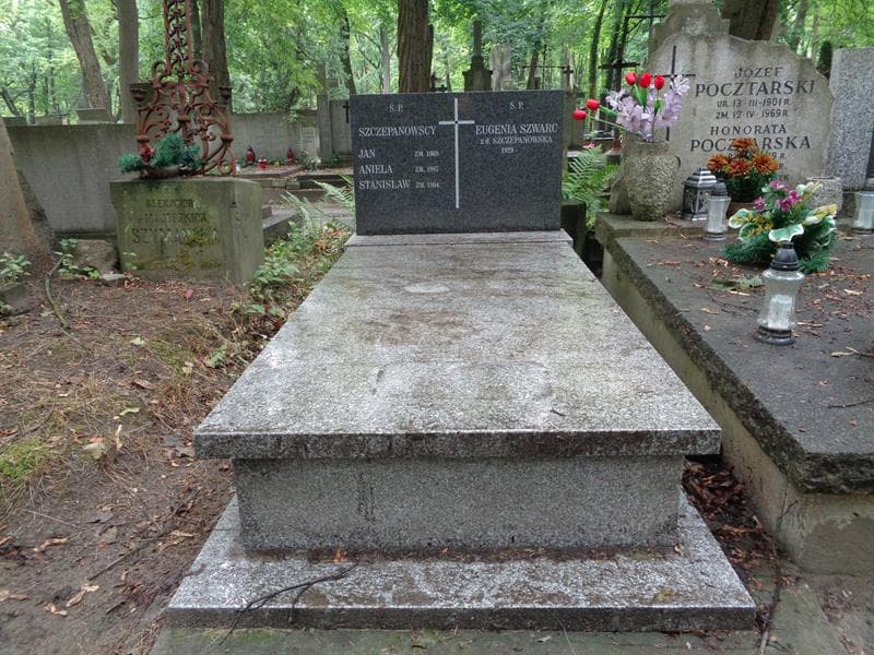 Zdjęcie grobu Stanisław Szczepanowski (1)