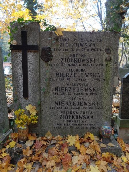 Zdjęcie grobu Stefan Mierzejewski (2)