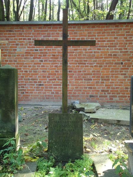 Zdjęcie grobu Bohdan Chełmoński (2)