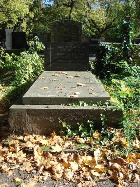 Zdjęcie grobu: Jadwiga Kozłowska