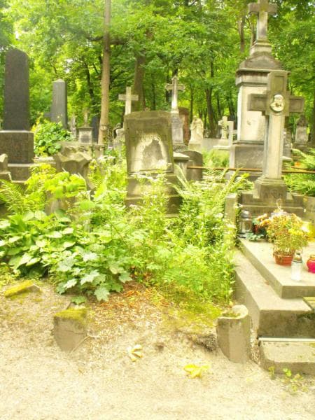Zdjęcie grobu: Władysław Bańkowski