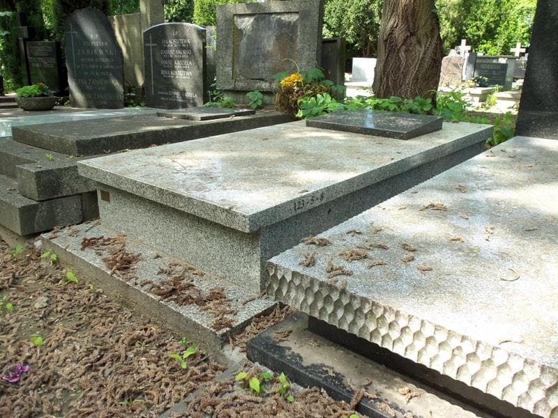 Zdjęcie grobu Eleonora Wanda Jarmużyńska (2)