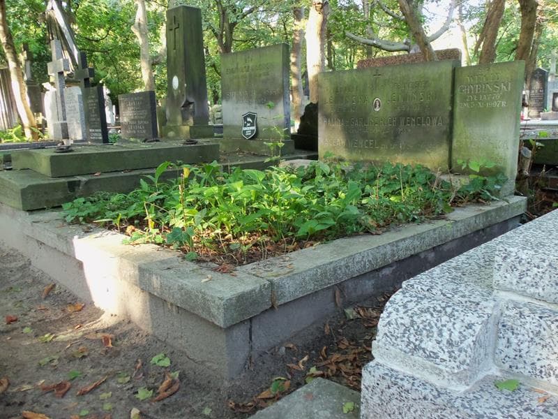 Zdjęcie grobu Witold Chybiński (1)