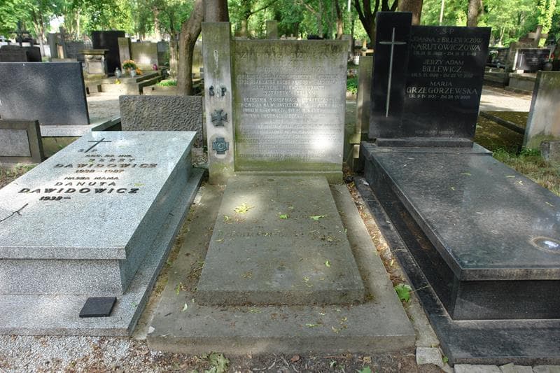 Zdjęcie grobu Zygmunt Stanisław Dziarmaga-Działyński (1)