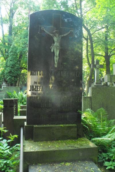 Zdjęcie grobu Witold Zacharewicz (2)
