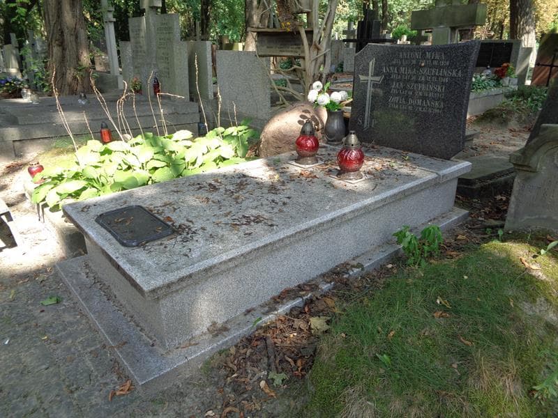 Zdjęcie grobu: Zofia Domańska