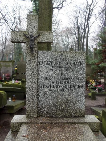 Zdjęcie grobu Witold Czeszejko - Sochacki (2)