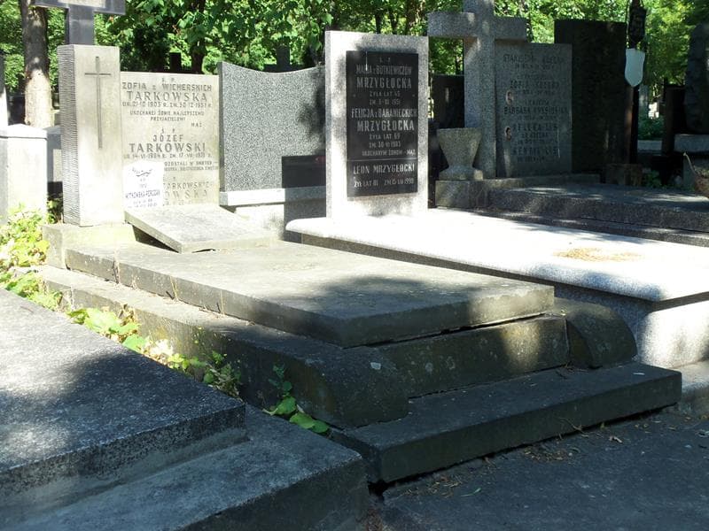 Zdjęcie grobu Zofia Tarkowska (1)