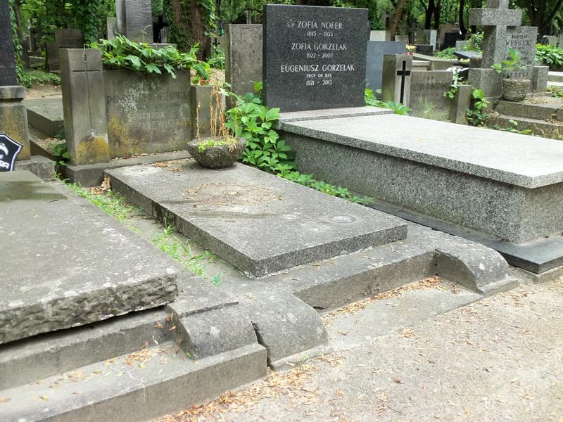 Zdjęcie grobu Olga Puszkiewiczowa (1)