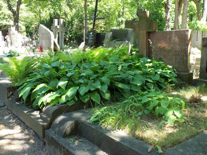 Zdjęcie grobu Andrzejek Baczyński (1)